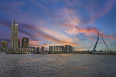 Houtlaan 249, 3016DA Rotterdam